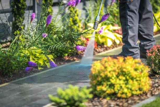 Trusted Palmhurst, TX  Pressure Washing Services Experts