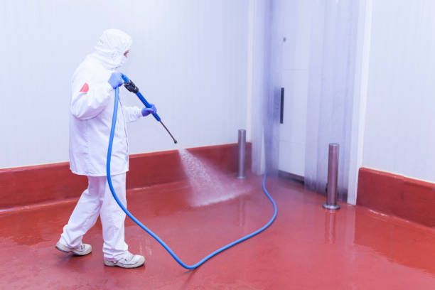Best Roof Washing  in Palmhurst, TX